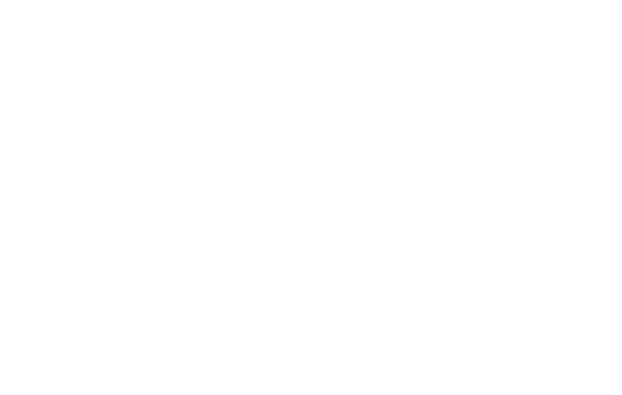 Neoperl logo